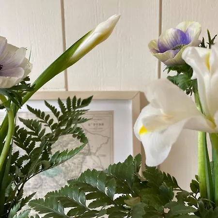 Clairseine Tournedos-sur-Seine