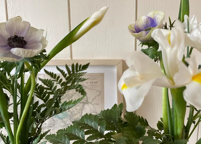 Clairseine Tournedos-sur-Seine